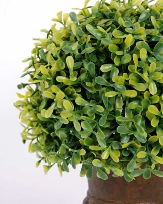 20*27cm New Milano Grass Mostly Holy Grail  in  Paper Pulp Pot GS-0690439