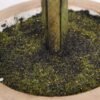 22*46cm Glitter New Milan single ball bonsai   in  Paper Pulp Pot GS-0690440