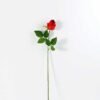 68cm Single rose GS-1450051
