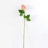 68cm Single rose GS-1450051