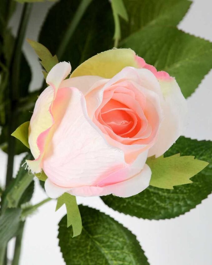 68cm Single rose GS-1450051