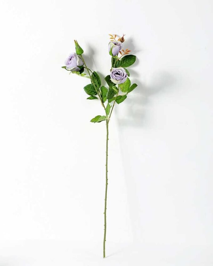 62CM ROSE GS-1450055