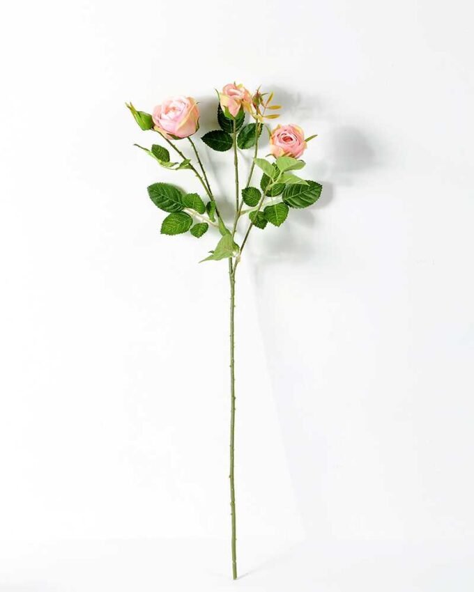 62CM ROSE GS-1450055