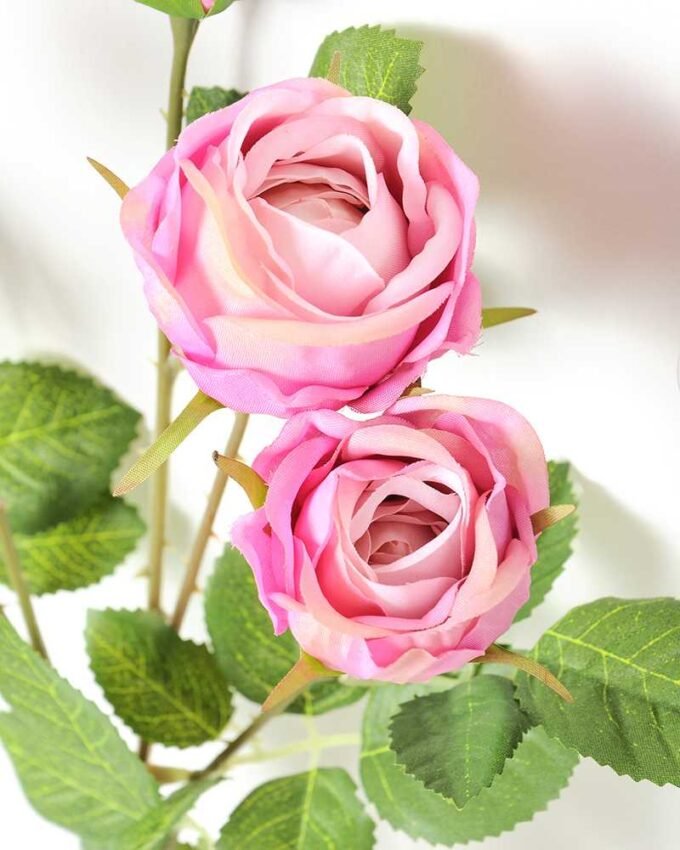 62CM ROSE GS-1450055