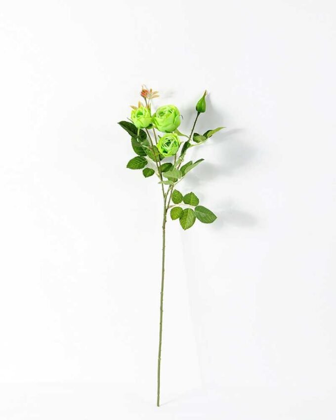 62CM ROSE GS-1450055