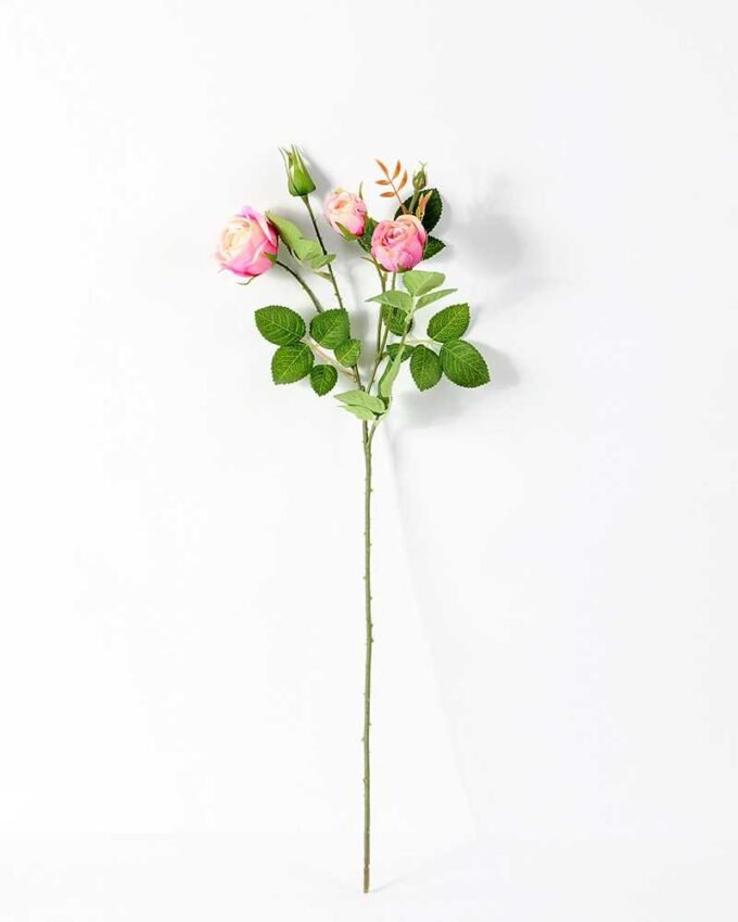 62CM ROSE GS-1450055