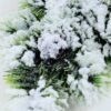 20*48CM Artificial Snow Cedar Pine Sprays GS-3270187