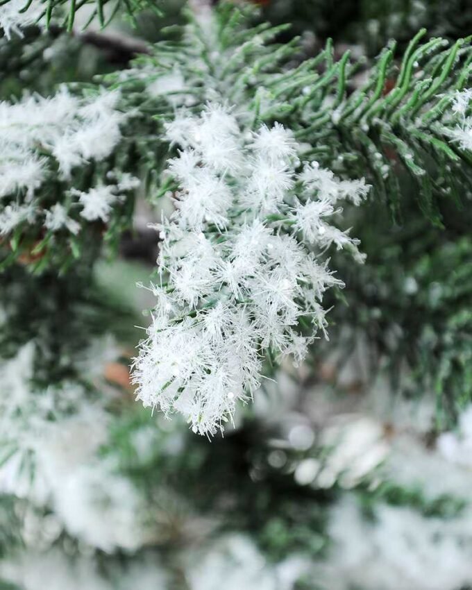 30*68CM pine?tree GS-3270188