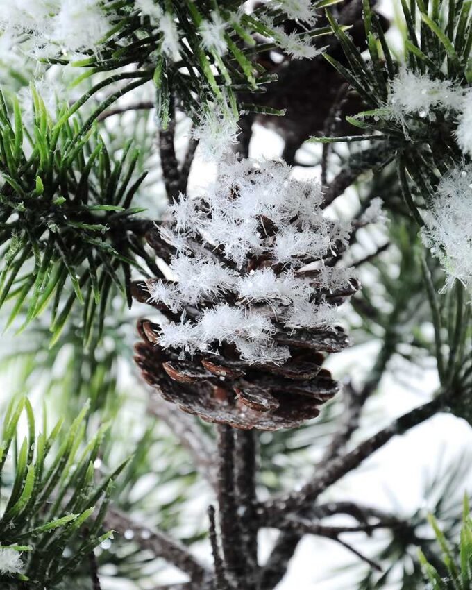 25*65CM pine?tree GS-3270191