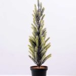 11*38cm pine?tree GS-3270192