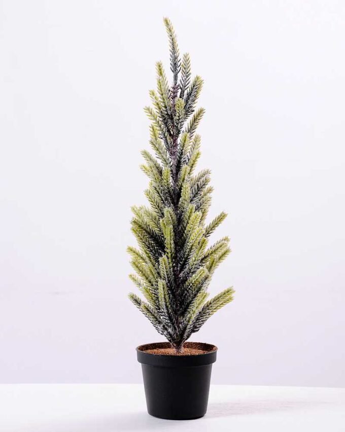 11*38cm pine?tree GS-3270192