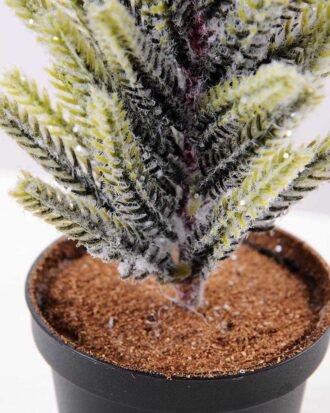 11*38cm pine?tree GS-3270192