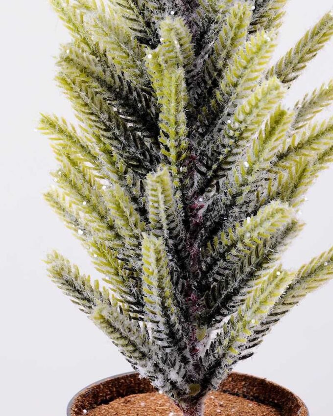 11*38cm pine?tree GS-3270192