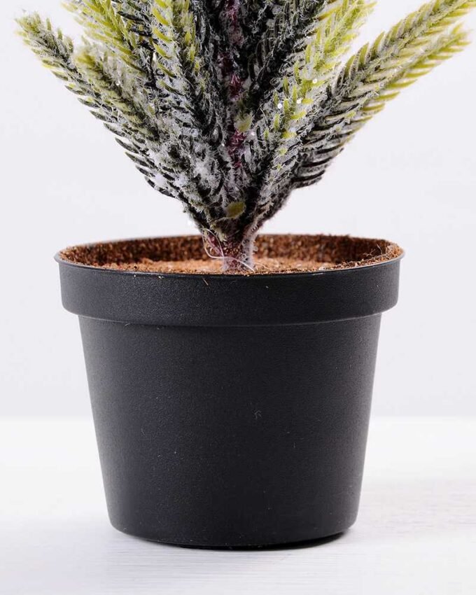 11*38cm pine?tree GS-3270192