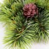 20*50CM Pine needle & plastic pine cone GS-3270195