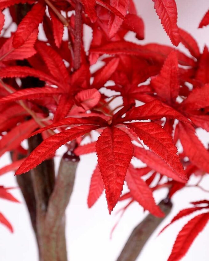 74*137CM maple tree GS-3420010