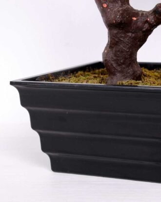 50*64CM CM ROSE TREE GS-3420012