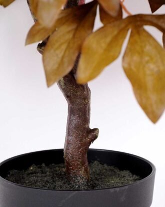 60*79CM PEONY TREE GS-3420014