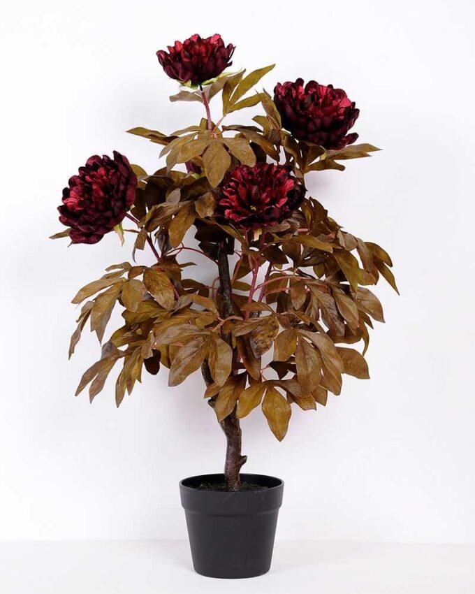 60*79CM PEONY TREE GS-3420014