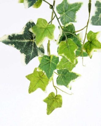 W37 H65cm Lvs spray GS-3710027