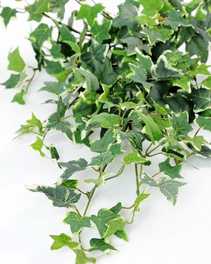 W37 H65cm Lvs spray GS-3710027