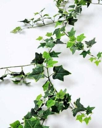 W40 H189cm lvs vine GS-3710028