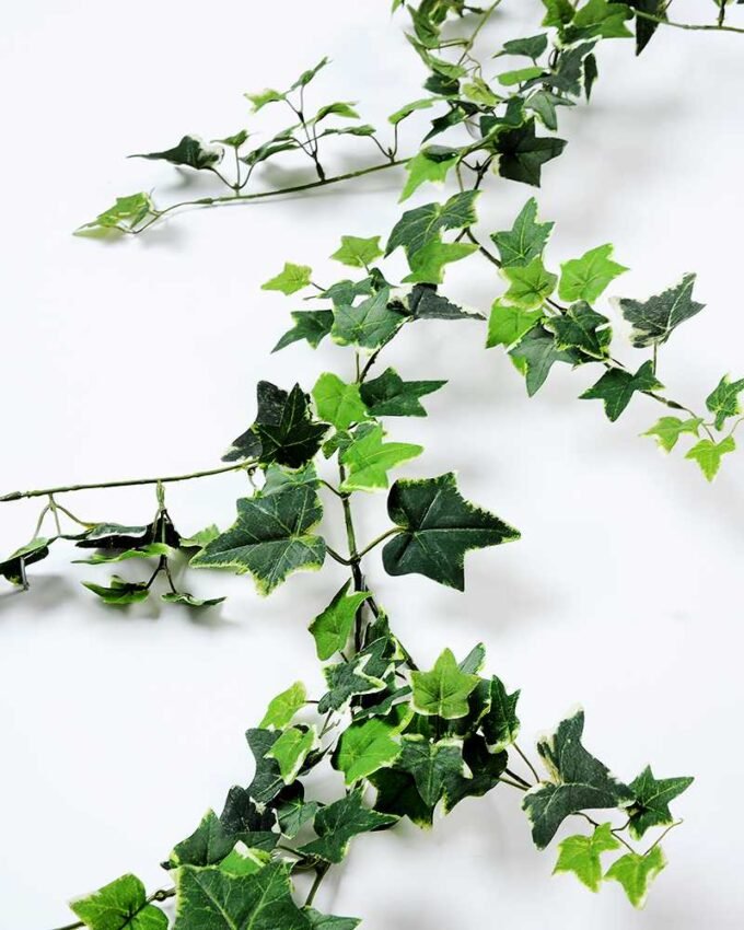 W40 H189cm lvs vine GS-3710028