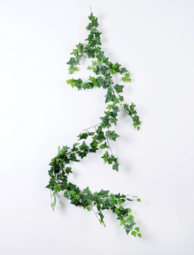 W40 H189cm lvs vine GS-3710029 1 W40 H189cm lvs vine GS-3710029