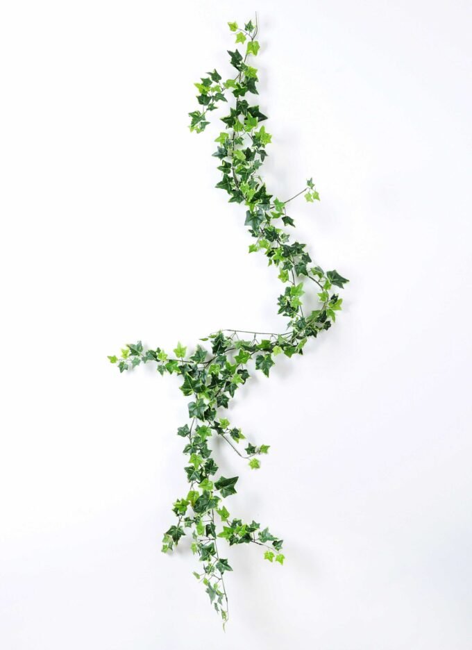 W40 H189cm lvs vine GS-3710030 1 W40 H189cm lvs vine GS-3710030