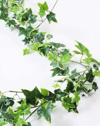 W40 H189cm lvs vine GS-3710030