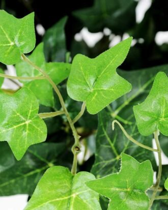 W25 H50cm lvs Spray GS-3710031