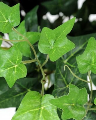 W25 H55cm lvs Spray GS-3710033