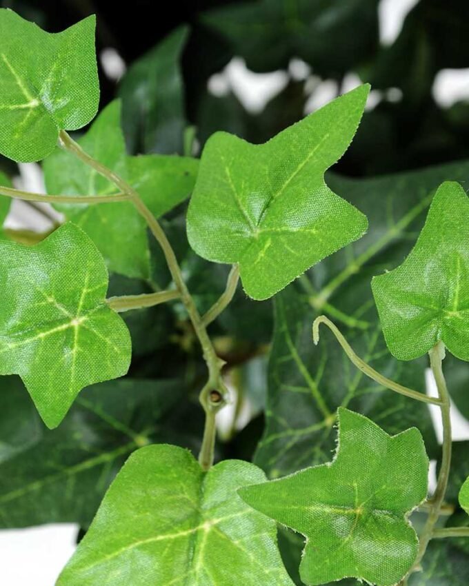 W25 H55cm lvs Spray GS-3710033