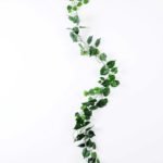185CM Parthenocissus?tricuspidata?leaves?long?cane GS-3710046
