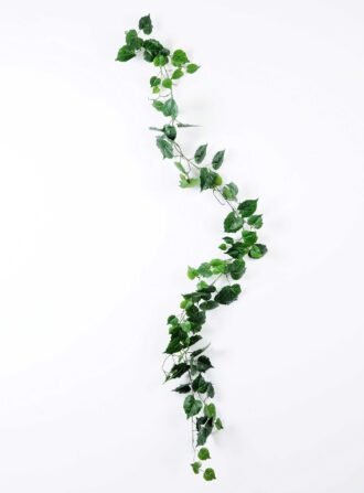 185CM Parthenocissus?tricuspidata?leaves?long?cane GS-3710046