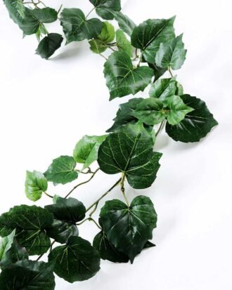 185CM Parthenocissus?tricuspidata?leaves?long?cane GS-3710046