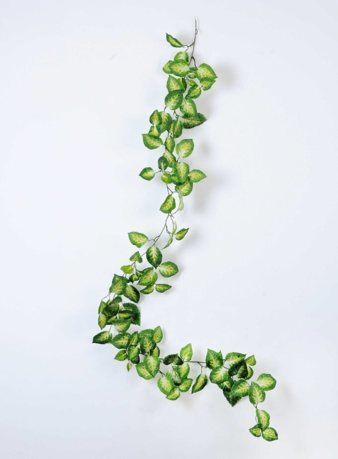 180CM?Perilla?long?cane green GS-3710047