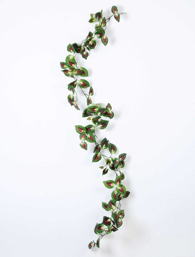 185CM?Perilla?long?cane red GS-3710048 1 185CM?Perilla?long?cane red GS-3710048