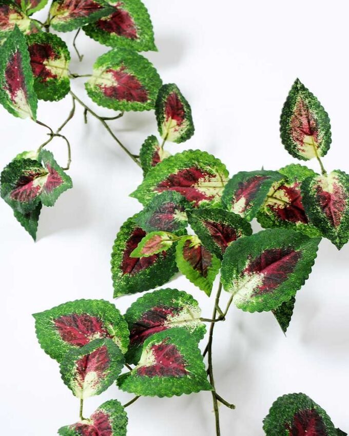 185CM?Perilla?long?cane red GS-3710048 2 185CM?Perilla?long?cane red GS-3710048