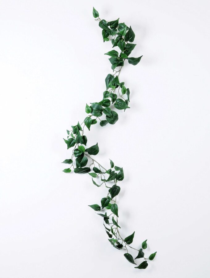 175CM pig?heart?leaf?long?cane GS-3710050 1 175CM pig?heart?leaf?long?cane GS-3710050