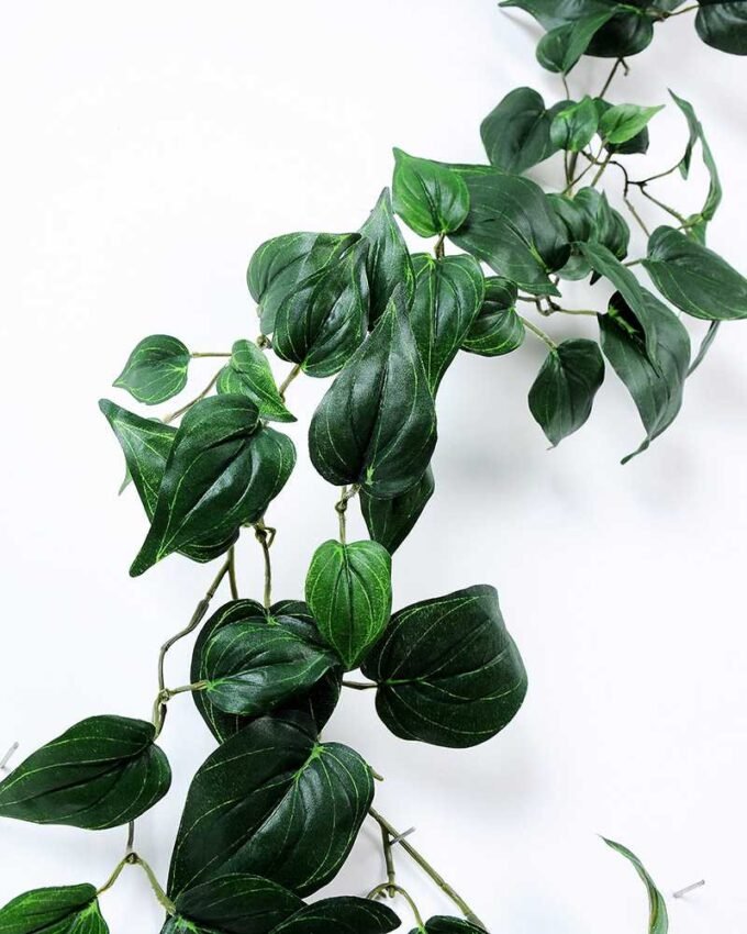 175CM pig?heart?leaf?long?cane GS-3710050 2 175CM pig?heart?leaf?long?cane GS-3710050