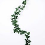 175CMGrape?leaves?long?cane GS-3710052