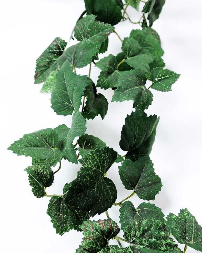 175CMGrape?leaves?long?cane GS-3710052 2 175CMGrape?leaves?long?cane GS-3710052