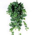 85CM Parthenocissus tricuspidata?leaves?hang leaves GS-3710053 1