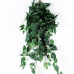 90CM smooth?pig?heart?leaves?hang green GS-3710054