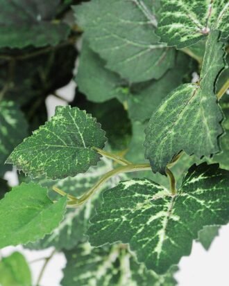 90CM Green?grape?leaves?hang?between GS-3710055