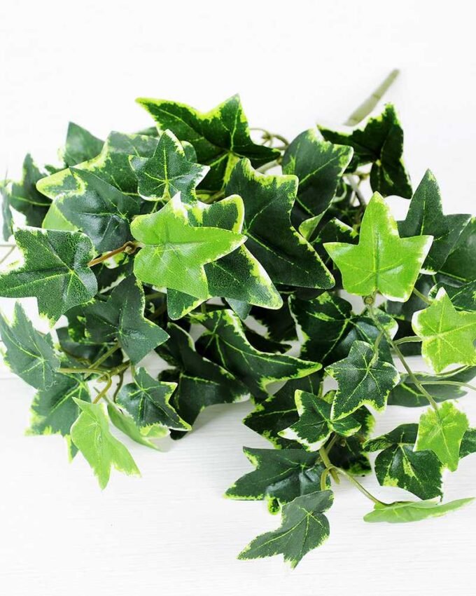 W45 H35cm lvs bush GS-3710065 2 W45 H35cm lvs bush GS-3710065