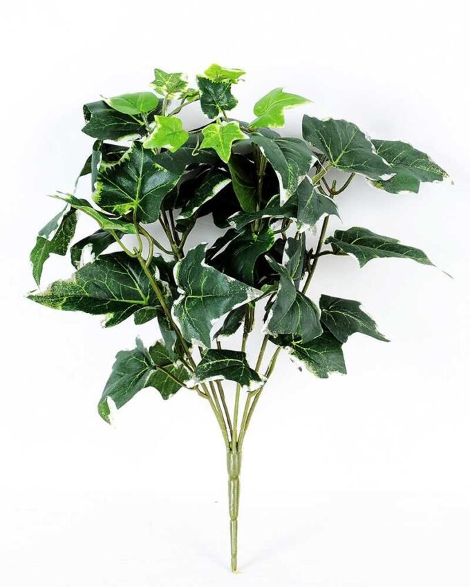 W45 H35cm lvs bush GS-3710067 1 W45 H35cm lvs bush GS-3710067