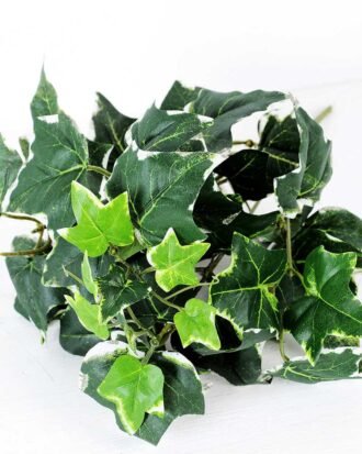 W45 H35cm lvs bush GS-3710067