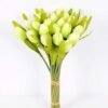 20*35CM Mini tulip*24 bouquet GS-3720018-G1
